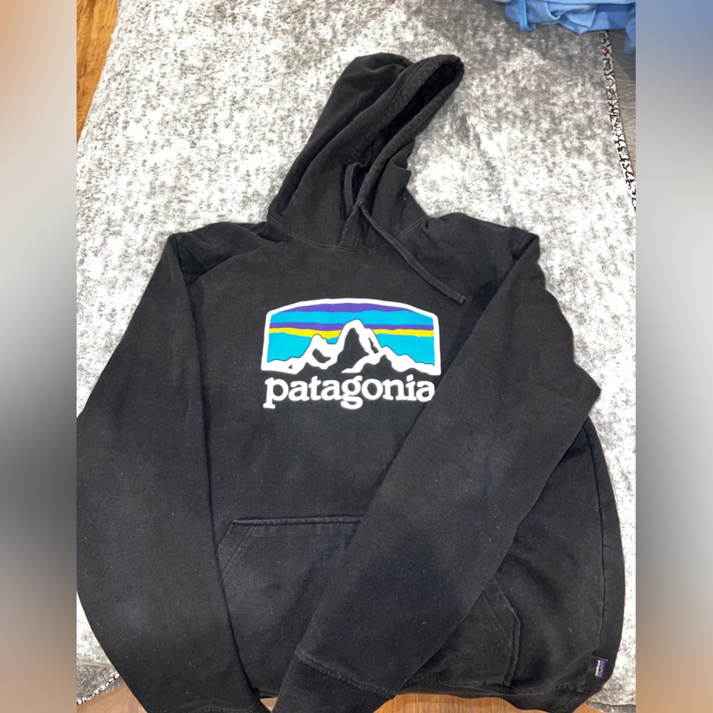 Brand New Patagonia Hoodie